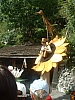 DSCF0167.JPG