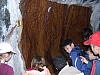 DSCN0042.JPG